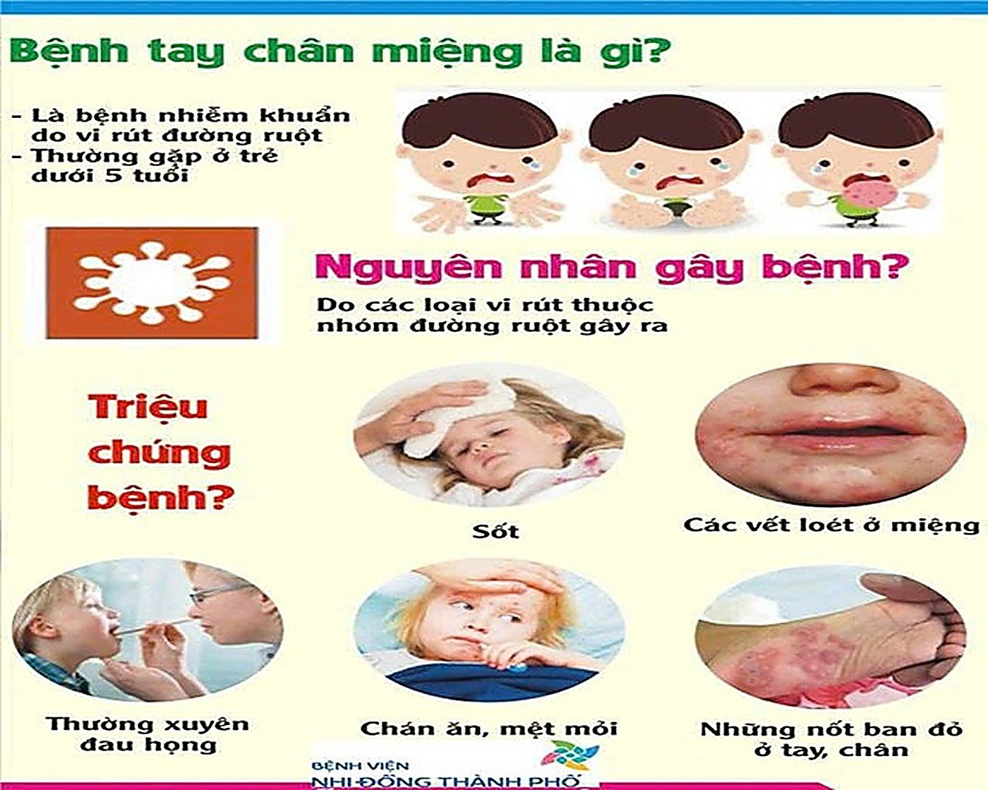 TUYÊN TRUYỀN PHÒNG CHỐNG BỆNH TAY CHÂN MIỆNG